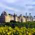 midtown manhattan skyline from above the central park tree line