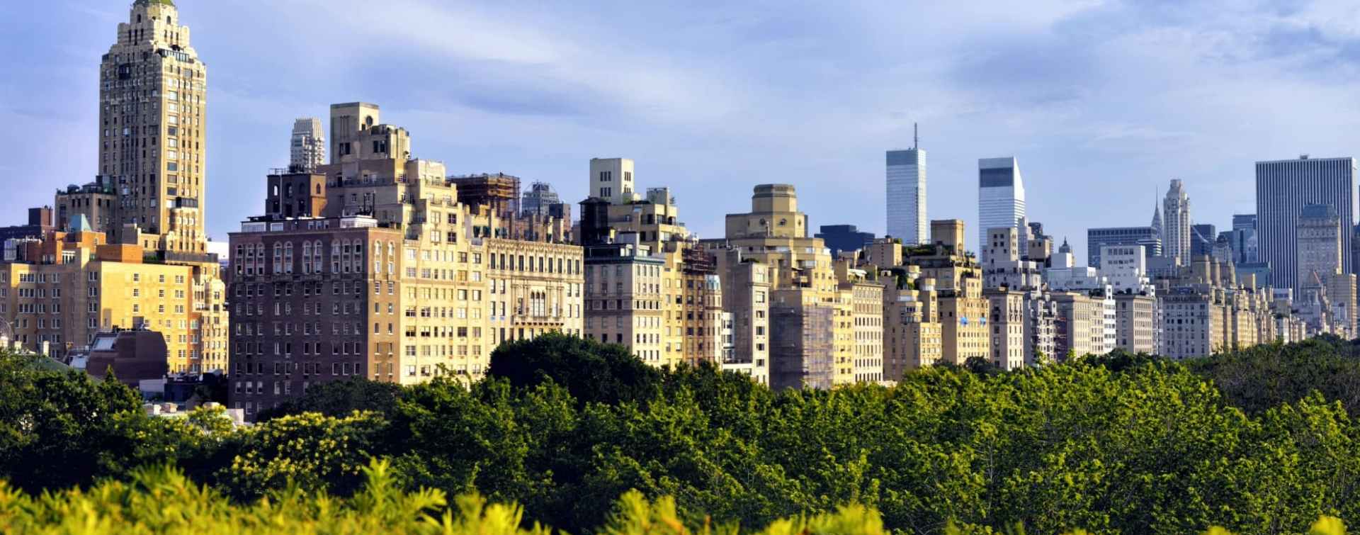 midtown manhattan skyline from above the central park tree line